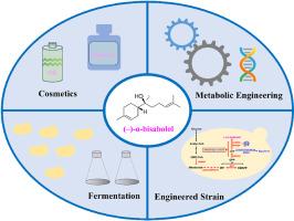 Development of a green Komagataella phaffii cell factory for sustainable production of plant-derived sesquiterpene (–)-α-bisabolol