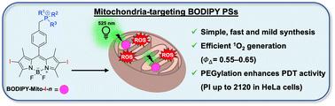 Potent BODIPY-based photosensitisers for selective mitochondrial dysfunction and effective photodynamic therapy†