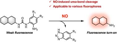 Development of a urea-bond cleavage reaction induced by nitric oxide for fluorescence imaging†