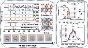 Structure, spectroscopic properties and optical temperature-sensing behavior of glass-ceramics containing polymorphic CaTa2O6:Er3+/Yb3+ nanocrystals†