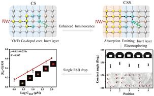 Sensitizer-rich core–shell–shell upconversion nanoparticles for enhancing luminescence by spatial separation†