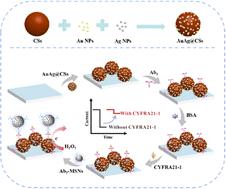 High-performance electrochemical immunosensor based on bimetallic gold/silver functionalized carbon spheres for CYFRA 21-1 detection and information protection†