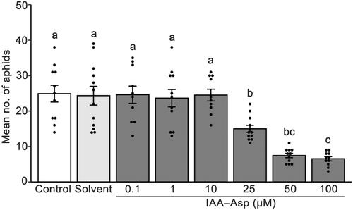 Impaired Brown midrib12 function orchestrates sorghum resistance to aphids via an auxin conjugate indole-3-acetic acid–aspartic acid