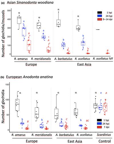 Reciprocal transplant experiments demonstrate a dynamic coevolutionary relationship between parasitic mussel larvae and bitterling fishes