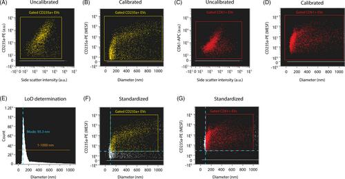 Size and fluorescence calibrated imaging flow cytometry: From arbitrary to standard units