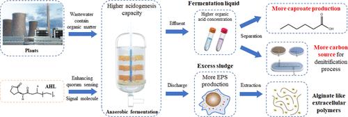 Anaerobic Acidogenesis Improvement and Fermentation-Type Regulation by Quorum Sensing