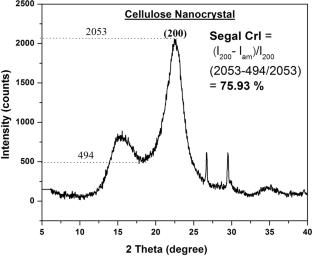 Eco-friendly bio-nanocomposites: incorporation of nano-cellulose from pineapple leaf waste into tissue paper