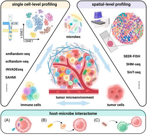 Multi-level insights into the immuno-oncology-microbiome axis: From biotechnology to novel therapies