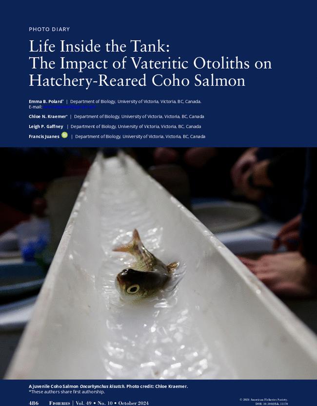 Life Inside the Tank: The Impact of Vateritic Otoliths on Hatchery-Reared Coho Salmon