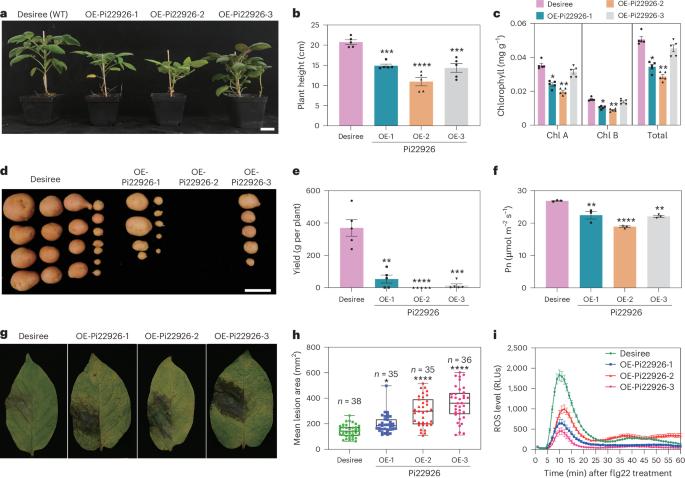 Chloroplast elongation factors break the growth–immunity trade-off by simultaneously promoting yield and defence