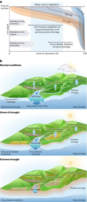 Ecohydrological resilience and the landscape water storage continuum in droughts