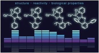 Understanding structural isomerism in organoiridium picolinamidate complexes and its consequences on reactivity and biological properties†
