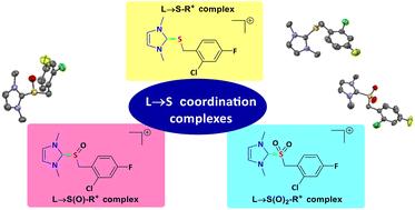 (Imidazol-2-ylidene) → S coordination interactions and its modulation upon S-oxidation†