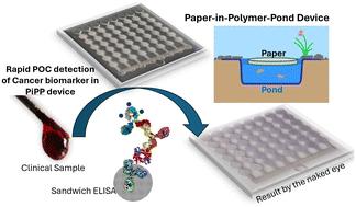 A paper-in-polymer-pond (PiPP) hybrid microfluidic microplate for multiplexed ultrasensitive detection of cancer biomarkers†