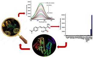 Understanding selective sensing of human serum albumin using a D–π–A probe: a photophysical and computational approach†