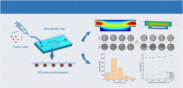 Exploring the impact of microfluidic chip structure on the efficacy of three-dimensional tumor microspheres cultivation