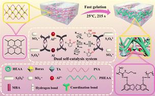 Tough and adhesive conductive hydrogels with fast gelation from a polyphenol–aluminium ion dual self-catalysis system for wearable strain sensors and triboelectric nanogenerators†