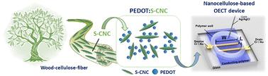 Nanocrystalline cellulose-based mixed ionic–electronic conductor for bioelectronics†