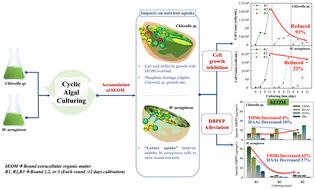 Effect of extracellular organic matter (EOM) accumulation on algal proliferation and disinfection by-product precursors during cyclic cultivation†