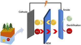 Effects of chloride transport on the bioelectrochemical remediation of nitrate-contaminated groundwater†