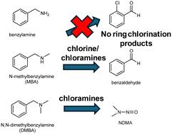 Degradation of benzylamines during chlorination and chloramination†