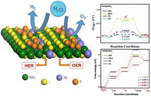 Ni–P codoping engineered MoS2 basal planes for electrocatalytic water splitting: insights from density functional theory†