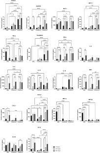 Shear Stress Induces a Time-Dependent Inflammatory Response in Human Monocyte-Derived Macrophages