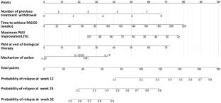 Predicting the Time to Relapse Following Withdrawal from Different Biologics in Patients with Psoriasis who Responded to Therapy: A 12-Year Multicenter Cohort Study