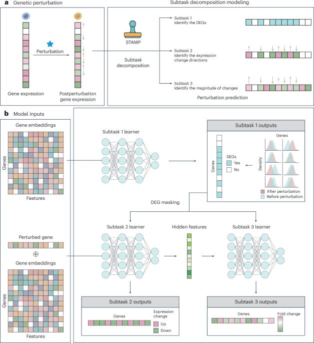 Toward subtask-decomposition-based learning and benchmarking for predicting genetic perturbation outcomes and beyond