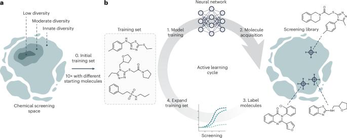 Traversing chemical space with active deep learning for low-data drug discovery