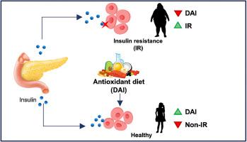 High dietary antioxidant index associated with reduced insulin resistance in female Mexican children and adolescents