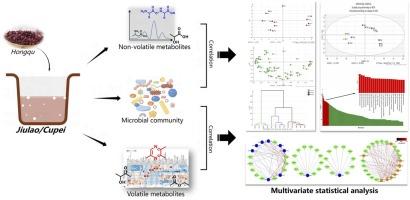 Microbiomics and metabolomics insights into the microbial regulation on the formation of flavor components in the traditional fermentation process of Chinese Hongqu aged vinegar