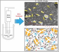 Power ultrasound-assisted enhancement of granulated blast furnace slag reactivity in cement paste