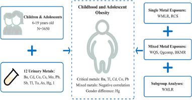 Urinary metals are associated with obesity in U.S. children and adolescents: A cross-sectional study