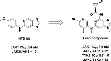 Design of a potent and selective dual JAK1/TYK2 inhibitor