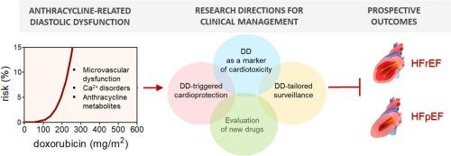 Anthracyclines, Diastolic Dysfunction and the road to Heart Failure in Cancer survivors: An untold story