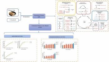 The metabolic profiling of Chinese yam fermented by Saccharomyces boulardii and the biological activities of its ethanol extract in vitro