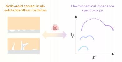 Unveiling solid-solid contact states in all-solid-state lithium batteries: An electrochemical impedance spectroscopy viewpoint