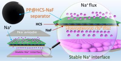 Modification of polypropylene separator with multifunctional layers to achieve highly stable sodium metal anode