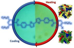 Halogen substituted bithiophene-based polycatenars with tunable fluorescence†