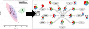 Systemic analysis of lipid metabolism from individuals to multi-organism systems†