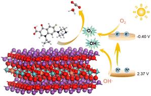 Modification of porous bismuth molybdate for high removal of antibiotics and H2O2 production†