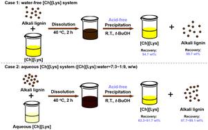 Evaluation on the recovery of lignin from basic [Ch][Lys] systems using low-cost alcohols as anti-solvents under acid-free conditions†