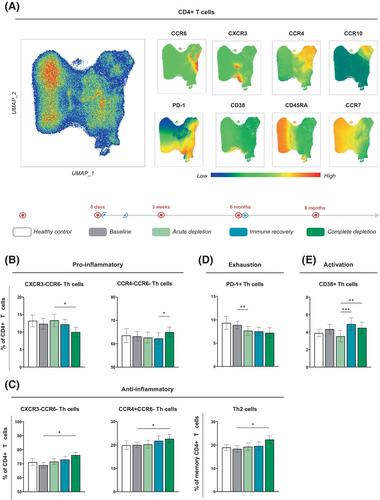 Longitudinal analysis of peripheral immune cells in patients with multiple sclerosis treated with anti-CD20 therapy