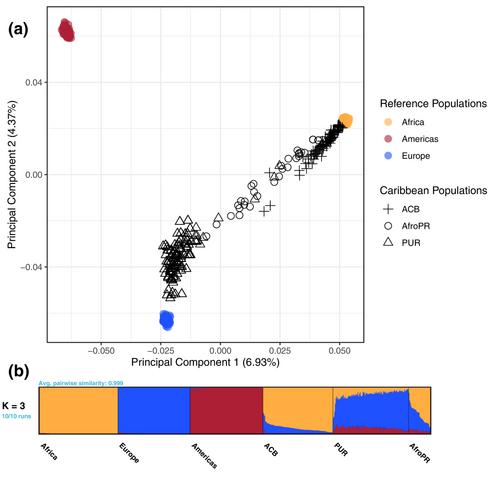 Genetic ancestry in Puerto Rican afro-descendants illustrates diverse histories of African diasporic populations