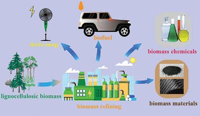 Microwave Application in Biomass Conversion: A Review