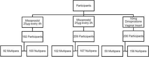 Vaginal dinoprostone insert compared with two different oral misoprostol regimens for labor induction in nulliparous and multiparous women