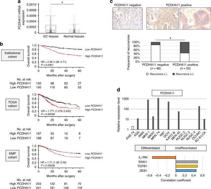 Dual-modified antisense oligonucleotides targeting oncogenic protocadherin to treat gastric cancer