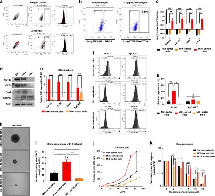 Comparison of methods for cancer stem cell detection in prognosis of early stages NSCLC