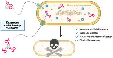 Metal chelation as an antibacterial strategy for Pseudomonas aeruginosa and Acinetobacter baumannii